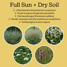 Load image into Gallery viewer, Native Garden Starter Kit