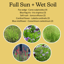 Load image into Gallery viewer, Native Garden Starter Kit
