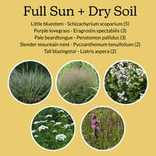 Load image into Gallery viewer, Native Garden Starter Kit
