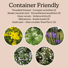 Load image into Gallery viewer, Native Garden Starter Kit
