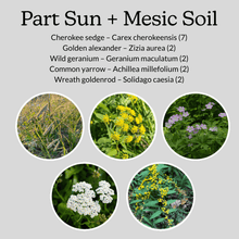 Load image into Gallery viewer, Native Garden Starter Kit
