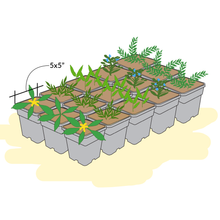 Load image into Gallery viewer, Native Garden Starter Kit
