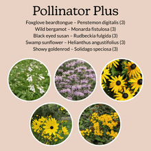 Load image into Gallery viewer, Native Garden Starter Kit
