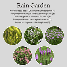 Load image into Gallery viewer, Native Garden Starter Kit
