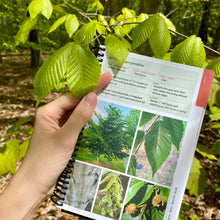 Load image into Gallery viewer, Tree Species Guide
